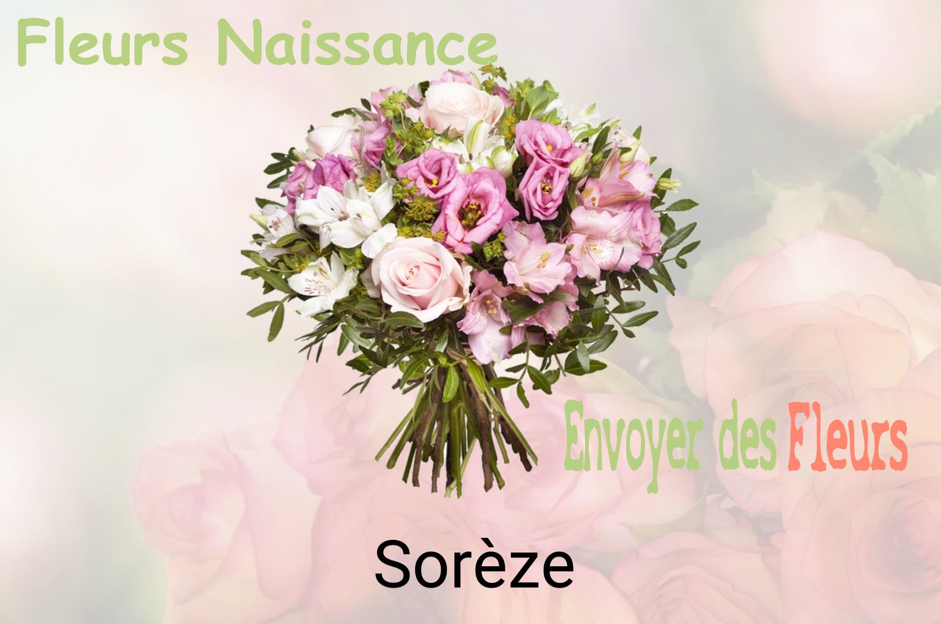 Bouquet de fleurs de naissance livré à Sorèze